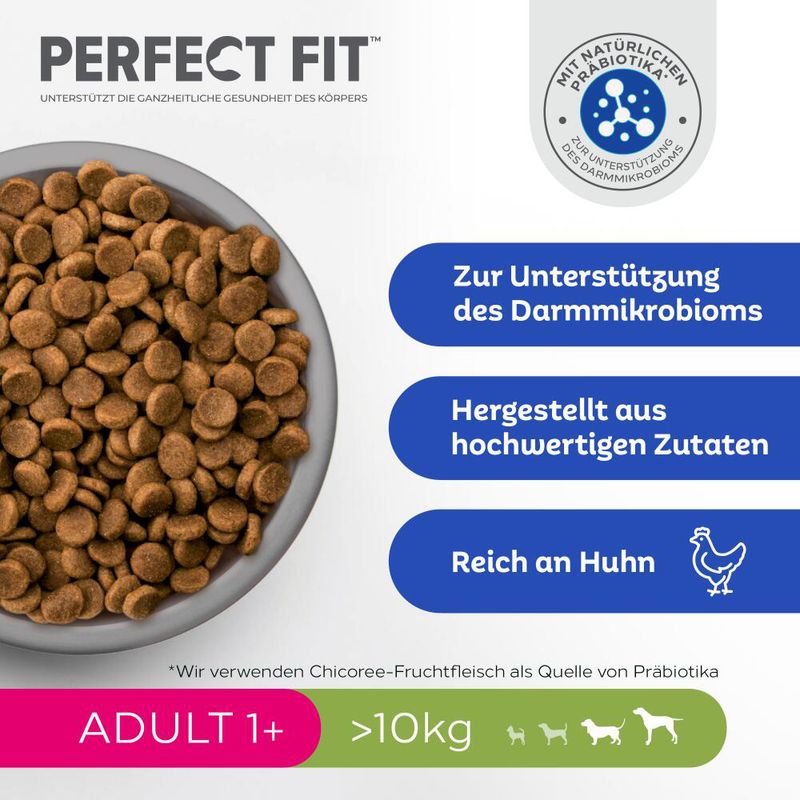 Perfect Fit Adult Hund (>10kg)