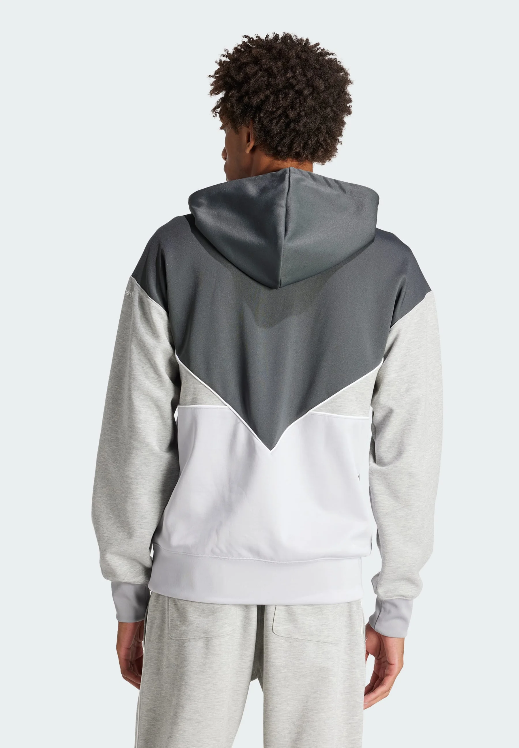 Sudadera con capucha adidas Originals POLY