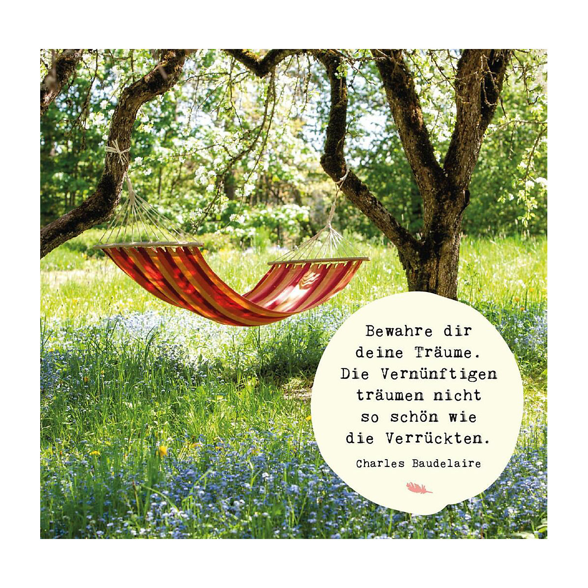 Kleine Wohlfühloase