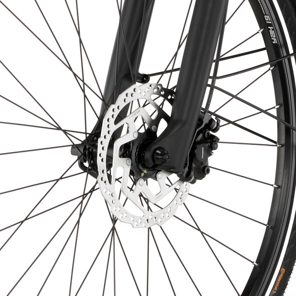 Trekking E-Bike Viator 6.0i, Herren