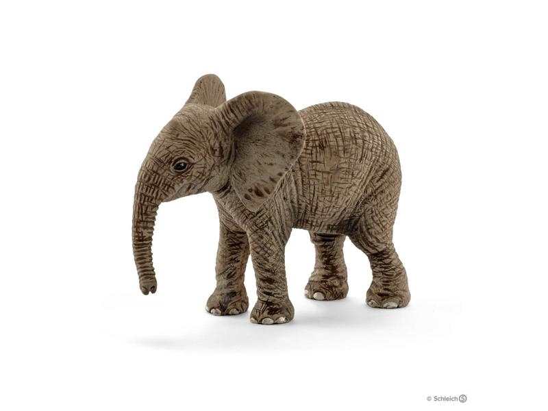 Éléphanteau d'Afrique