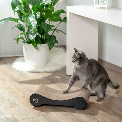 Cosma Katzenkratzmöbel
