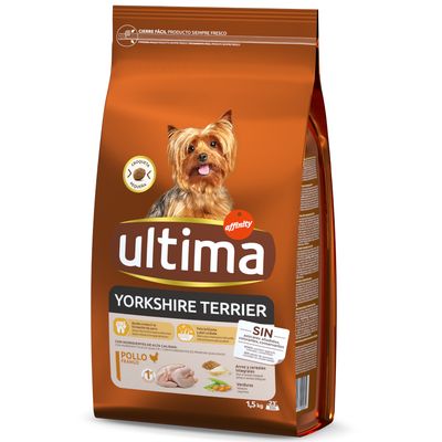 Ultima Yorkshire Terrier Adult Huhn