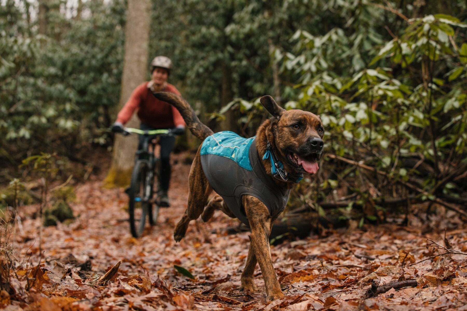 Ruffwear Hundemäntel Ruffwear Climate Changer™ Fleece-Pullover Für Hunde blau/ türkis/ schwarz XXS