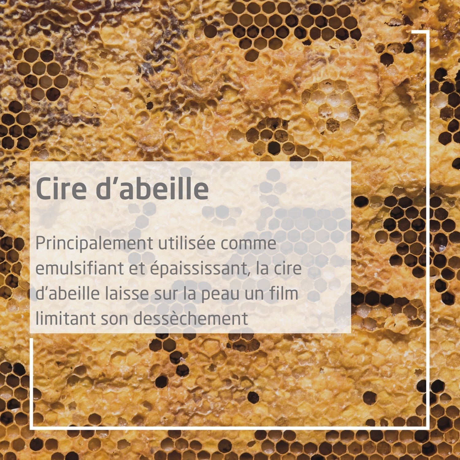 Crema facial fría Weleda