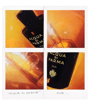 Acqua di Parma Signatures of the Sun Oud Eau de Parfum 100 ml