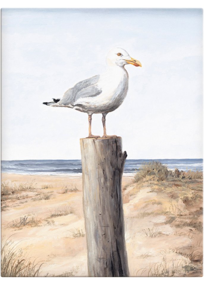 Leinwandbild mit Möwe