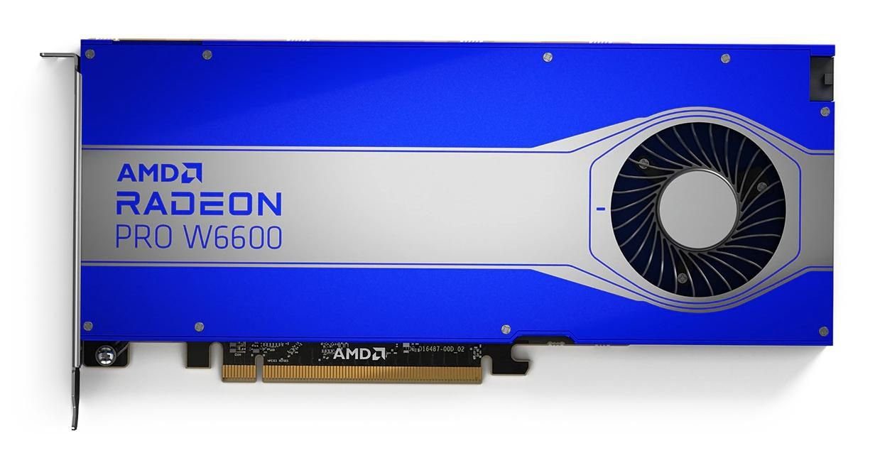 AMD AMD Radeon Pro W6600 8GB Grafikkarte