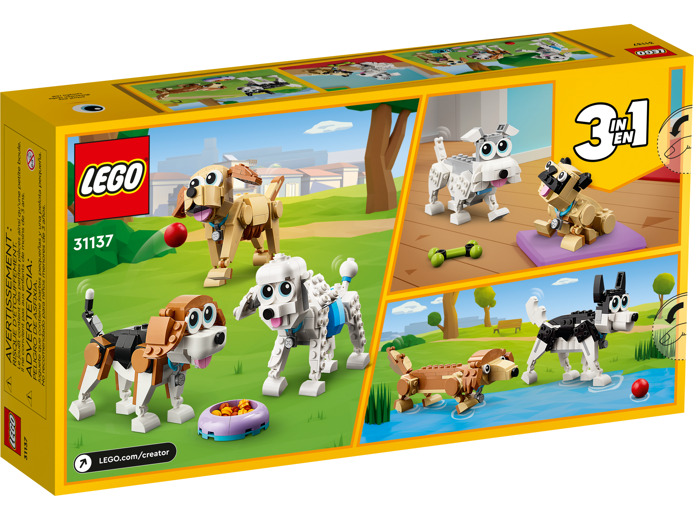 Niedliche Hunde 31137