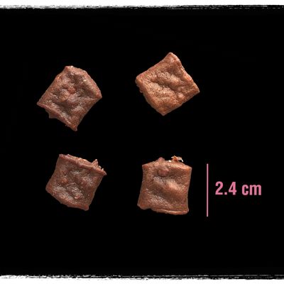 Crave Protein Chunks