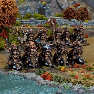 Dwarf Berserker Brock Riders Regiment