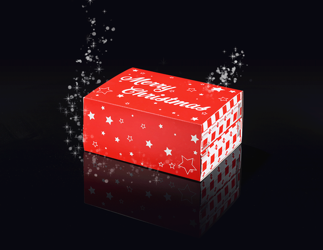 e.s. Adventskalender Edition 5