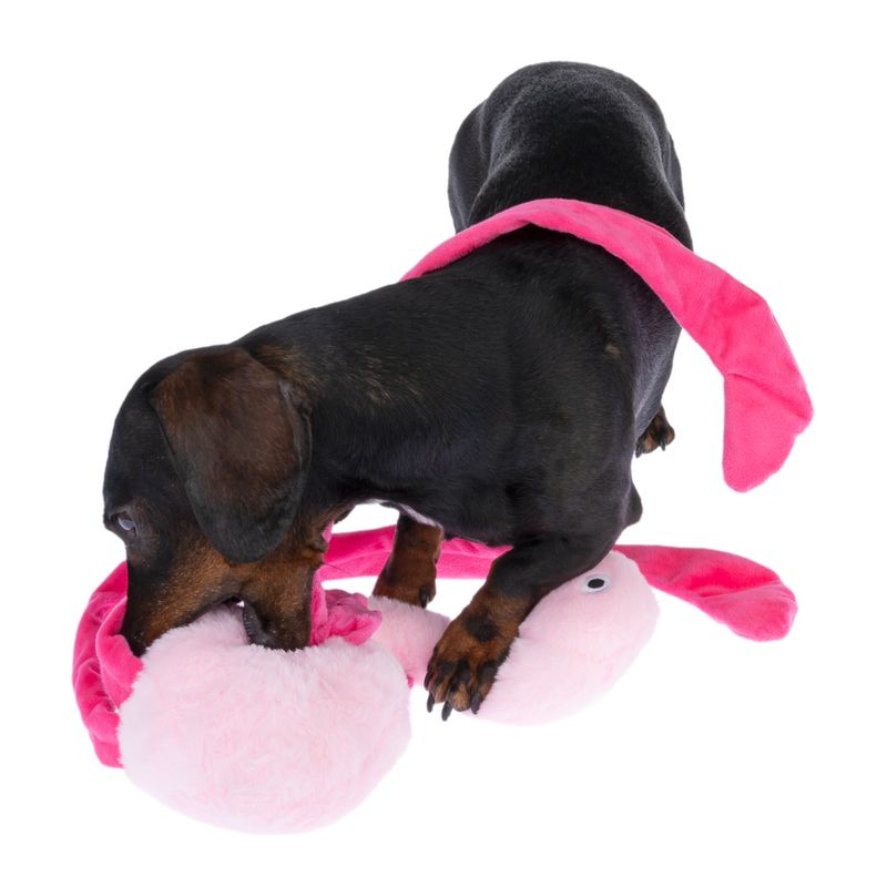 TIAKI Lisa long-legs Flamingo Hundespielzeug