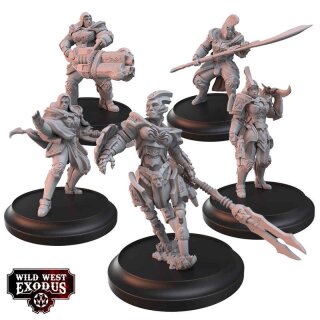 Divine Intervention Posse *Mängelexemplar*