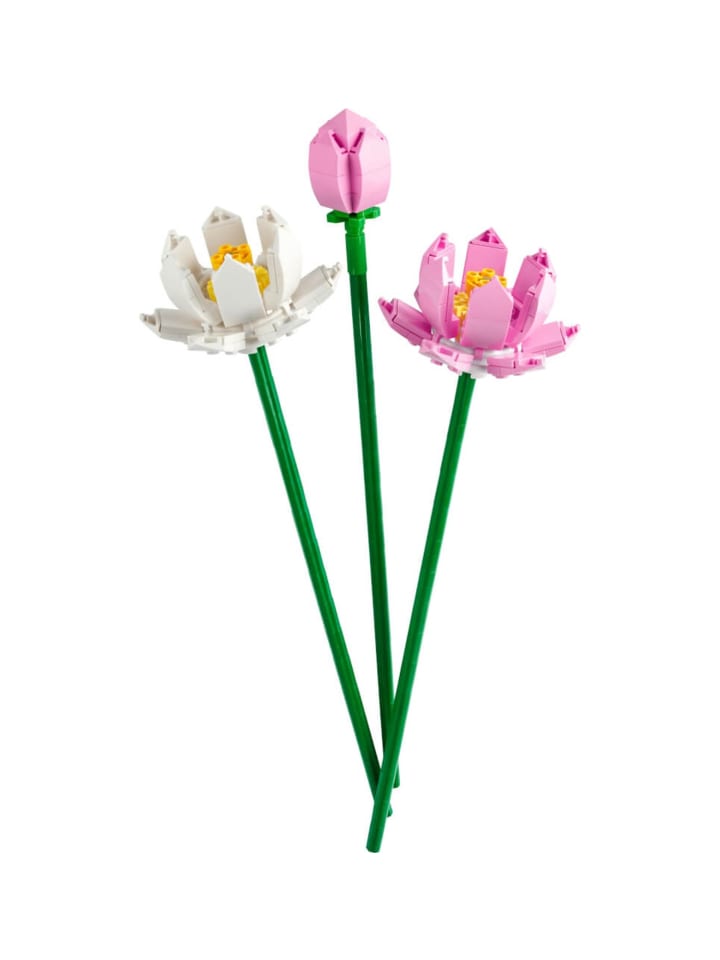 LEGO Botanical Collection Lotusblumen in Mehrfarbig ab 8 Jahre günstig kaufen onesize