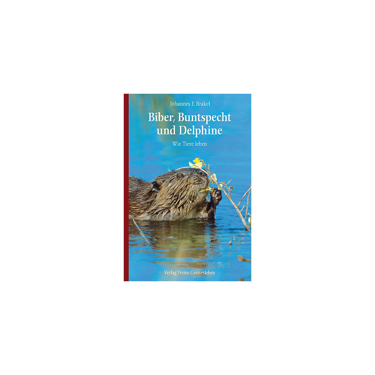 Biber, Buntspecht und Delphine