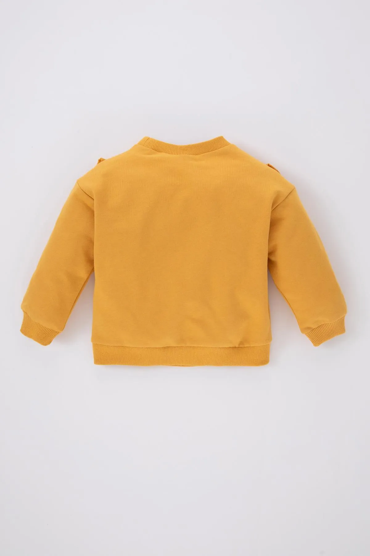 DeFacto  Normal geschnittenes, dünnes Sweatshirt-Sweatshirt mit Rundhalsausschnitt für Babys und Mädchen
