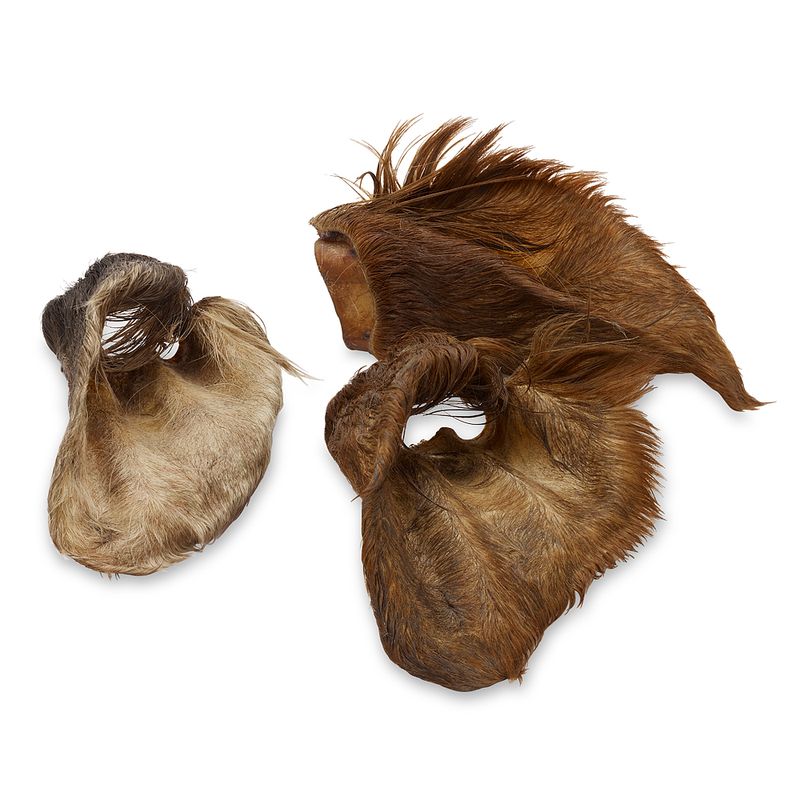 Probierpaket Wolf of Wilderness Kauohren mit Fell - von Rind & Kaninchen
