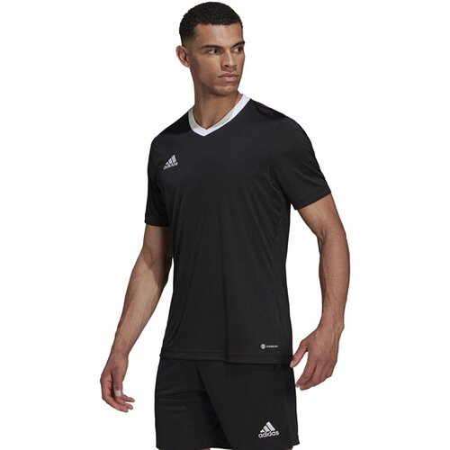 HERREN TRIKOT ENTRADA 22 (NORMAL & LANG)