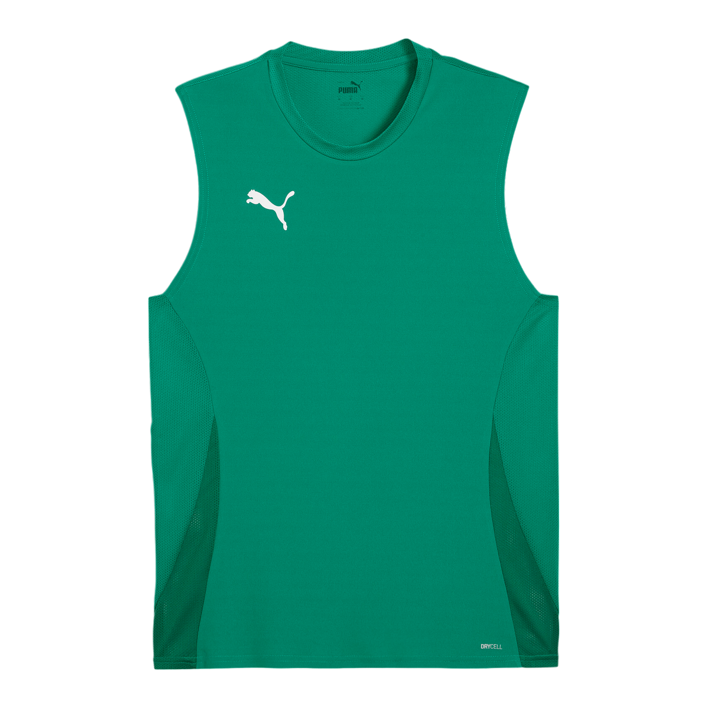 PUMA TeamGoal Trikot Grün F05