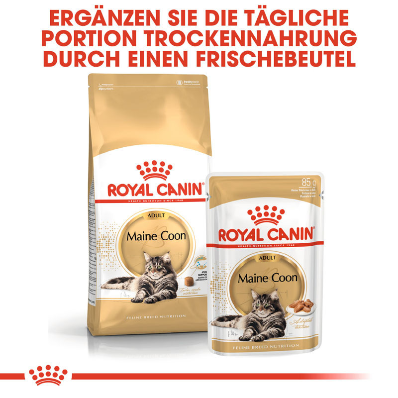 ROYAL CANIN Trockenfutter ROYAL CANIN Maine Coon Adult 400 g