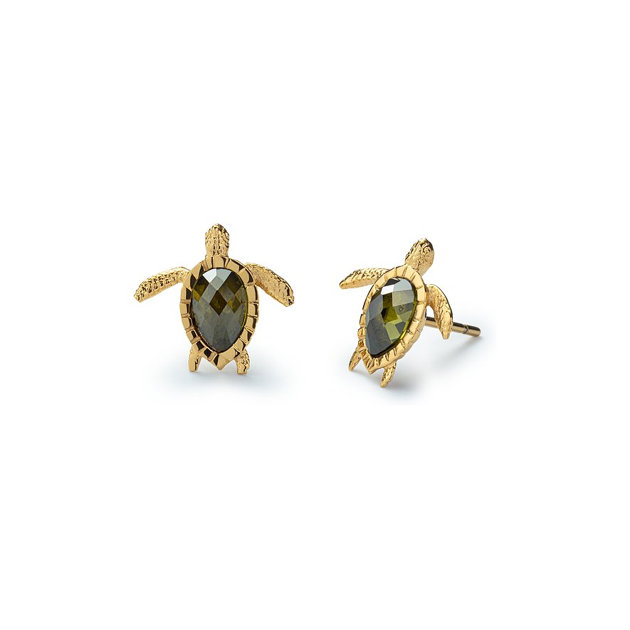 Paul Hewitt Ohrstecker Turtle