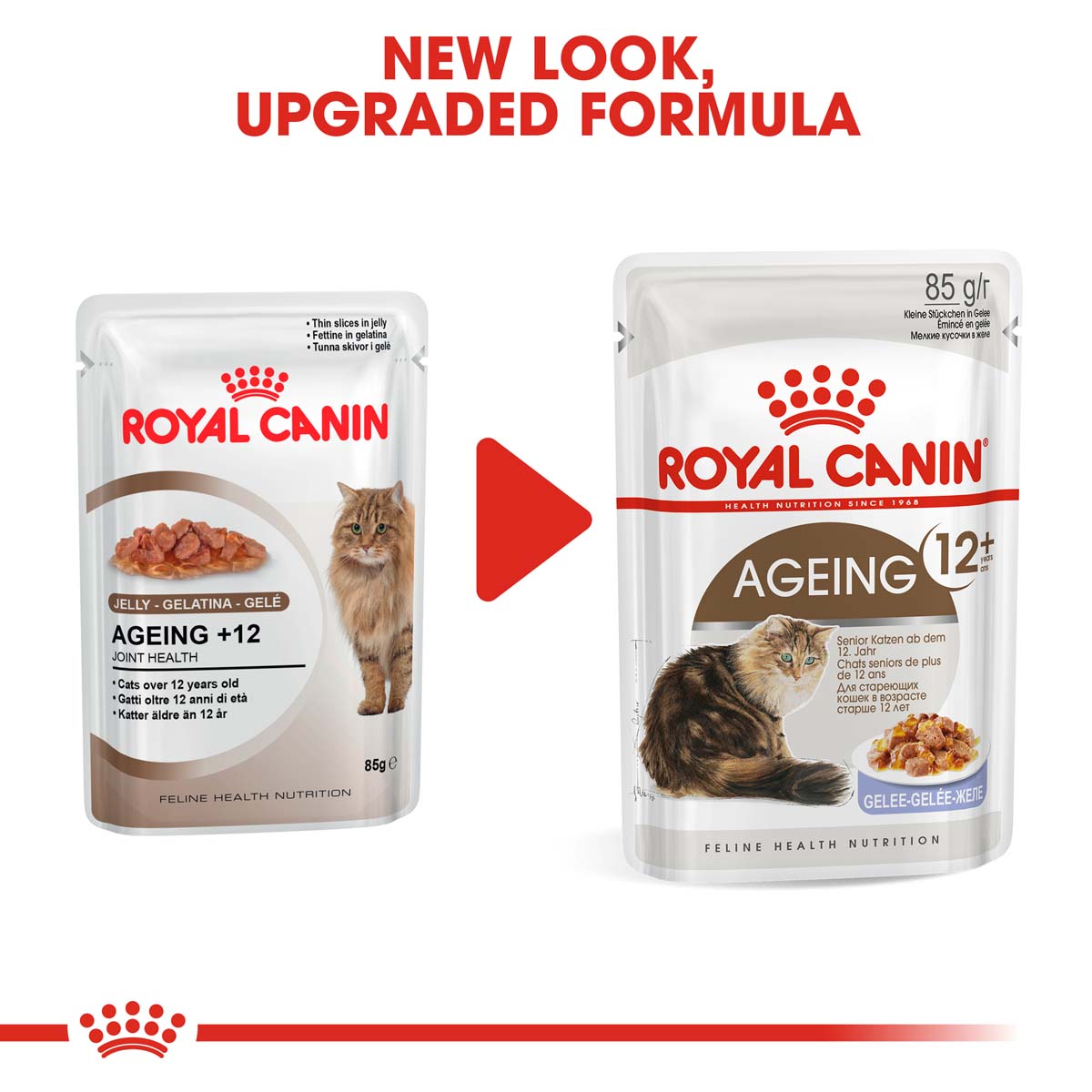 ROYAL CANIN AGEING 12+ für Katzen günstig kaufen bei ZooRoyal