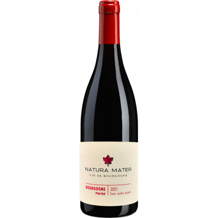 BOURGOGNE PINOT NOIR 2021 - SANS SOUFRE AJOUTE - NATURA MATER - COLLIN BOURISSET