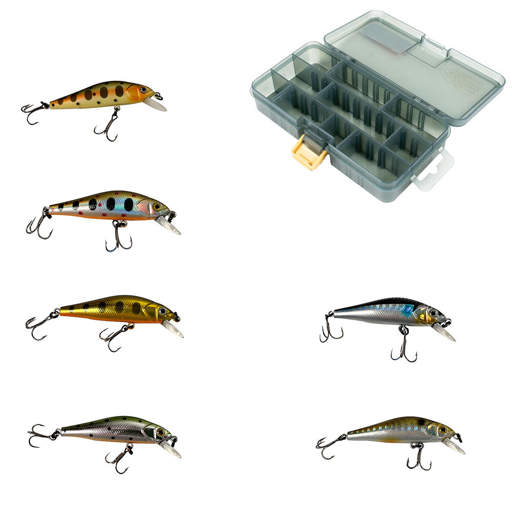 schwimmende Forellenfische + Gratis-Box