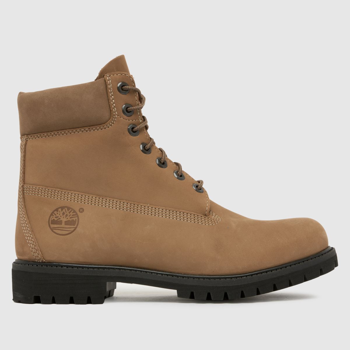 Timberland premium 6-palčni škornji v bež barvi