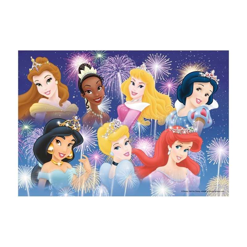 Puzzles Les princesses réunies Princess DS 2x 24 pièces