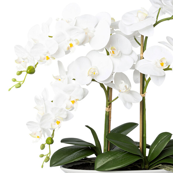 Künstl. Phalaenopsis in Keramikschale, 53 cm