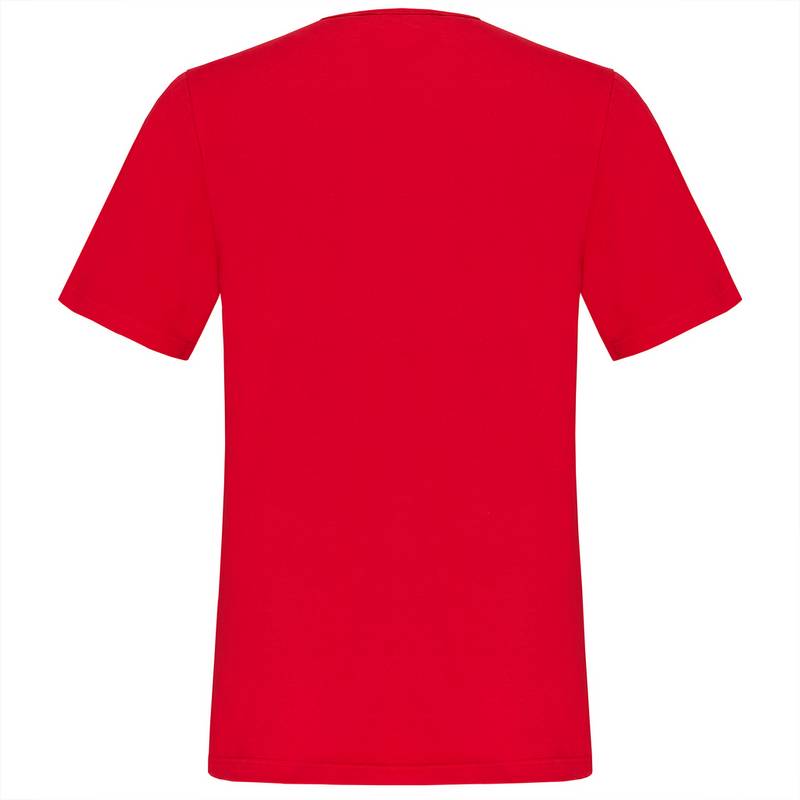 TAO FRANZERL T-Shirt Herren