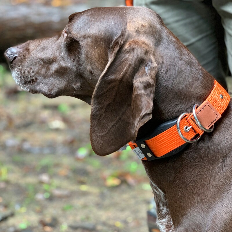 WowWow Hundehalsband Professional
