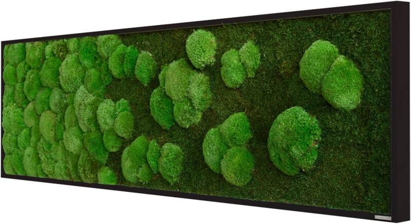 best of GREEN Moos-Wand boGsGMbWKmVL140x40HoSw Grün