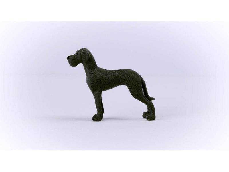 Dogue Allemand