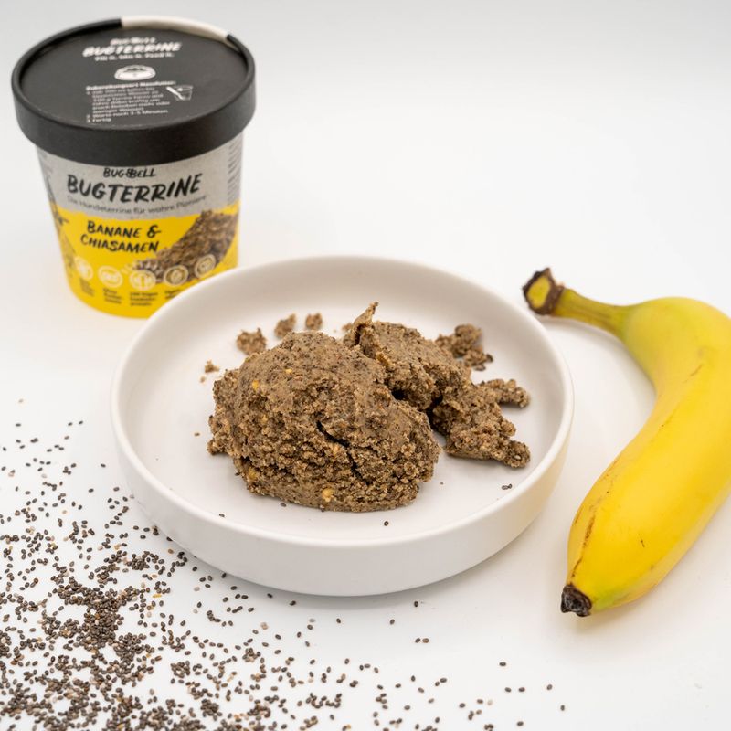 BugBell BugTerrine Adult Insekten, Banane und Chiasamen
