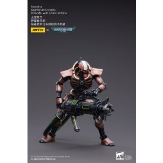 Warhammer 40k Actionfigur: Necrons - Szarekhan Dynasty Immortals with Tesla Carbine (2er-Pack)