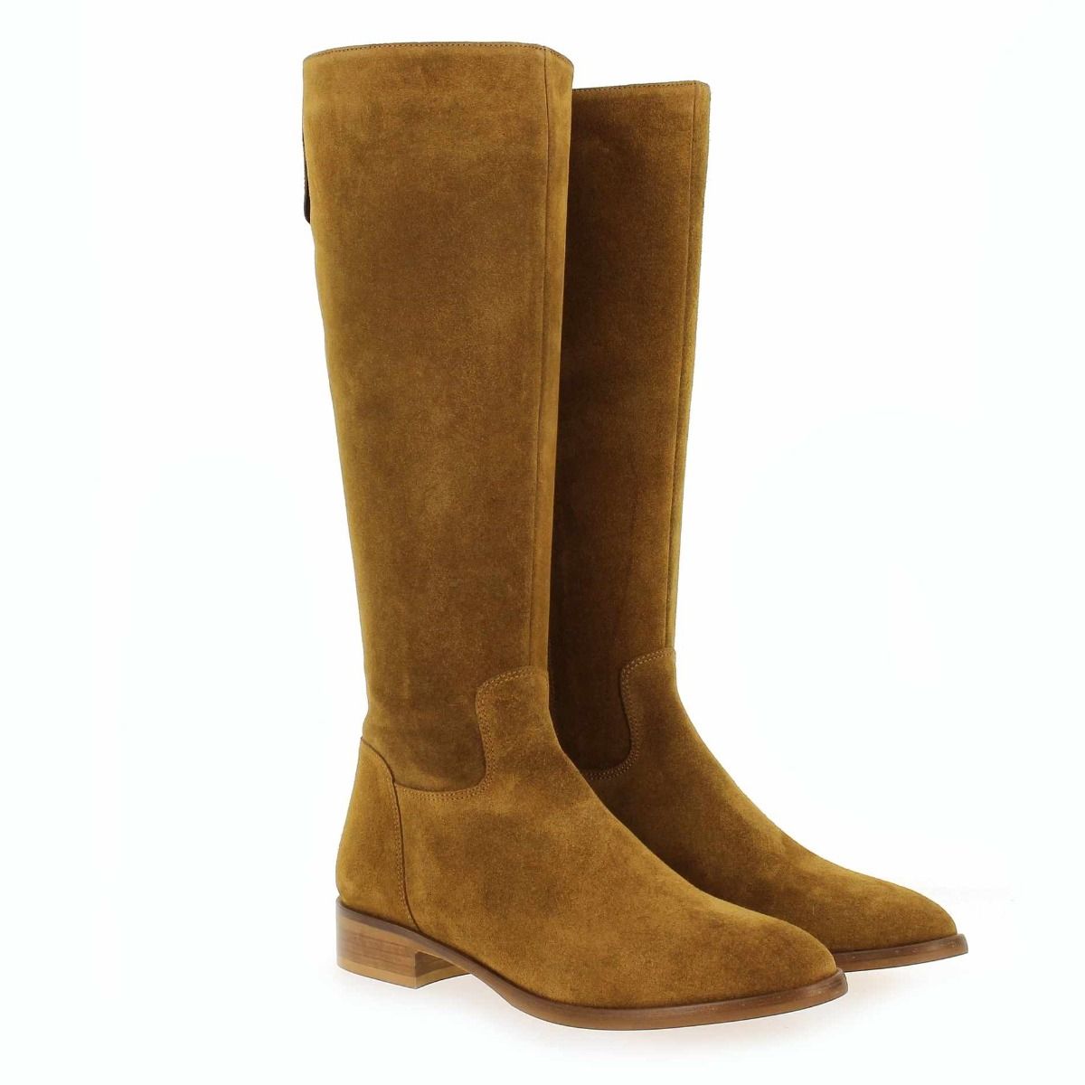Janie Philip  DANAIDES - Camel