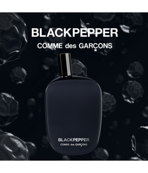 Comme des Garcons Blackpepper Eau de Parfum 100 ml