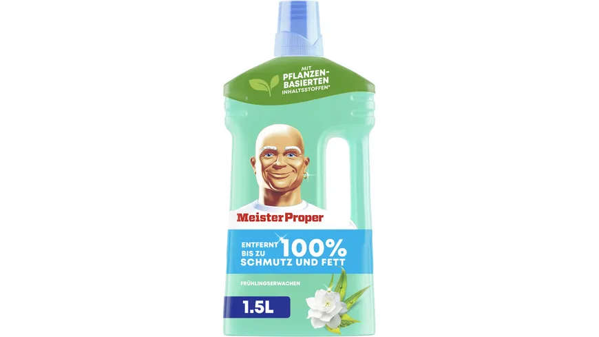 Meister Proper Allzweckreiniger Frühlingserwachen 1 l