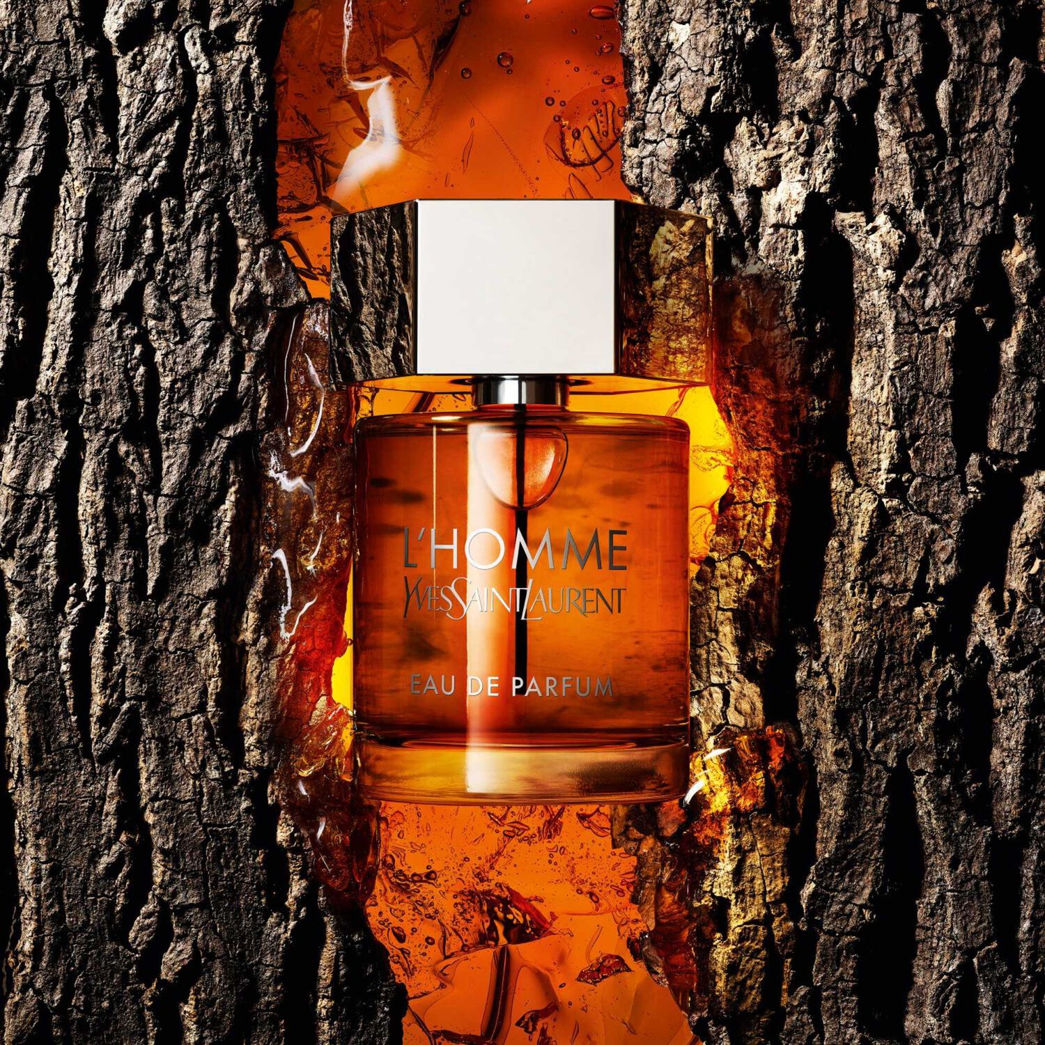 Yves St Laurent L'Homme Eau de Parfum