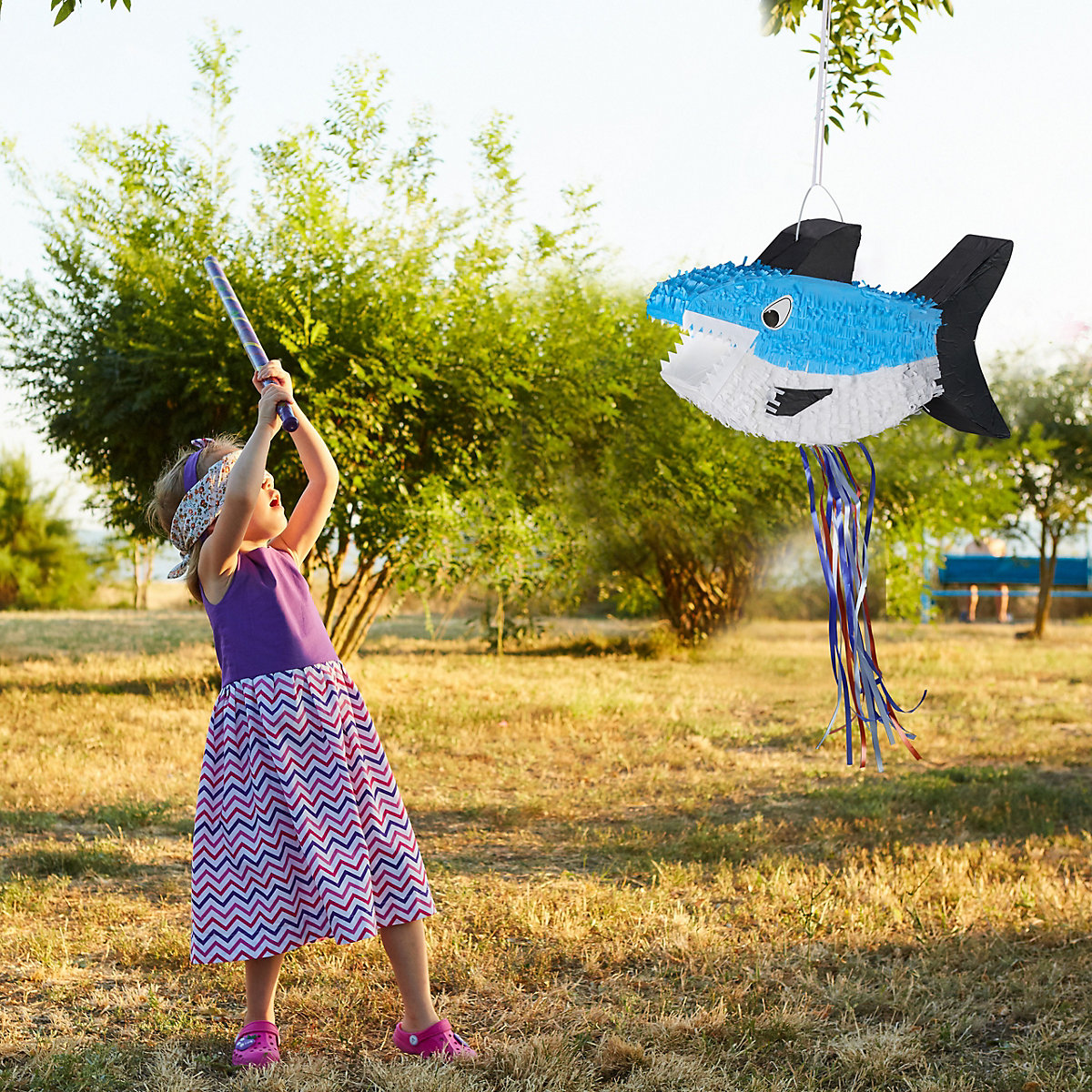 4 x Hai Pinata