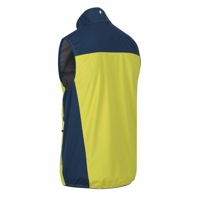 Regatta Lankin III Outdoorweste Herren