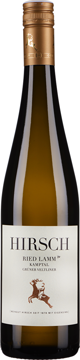 Hirsch Grüner Veltliner Ried Lamm 1ÖTW Erste Lage 2022
