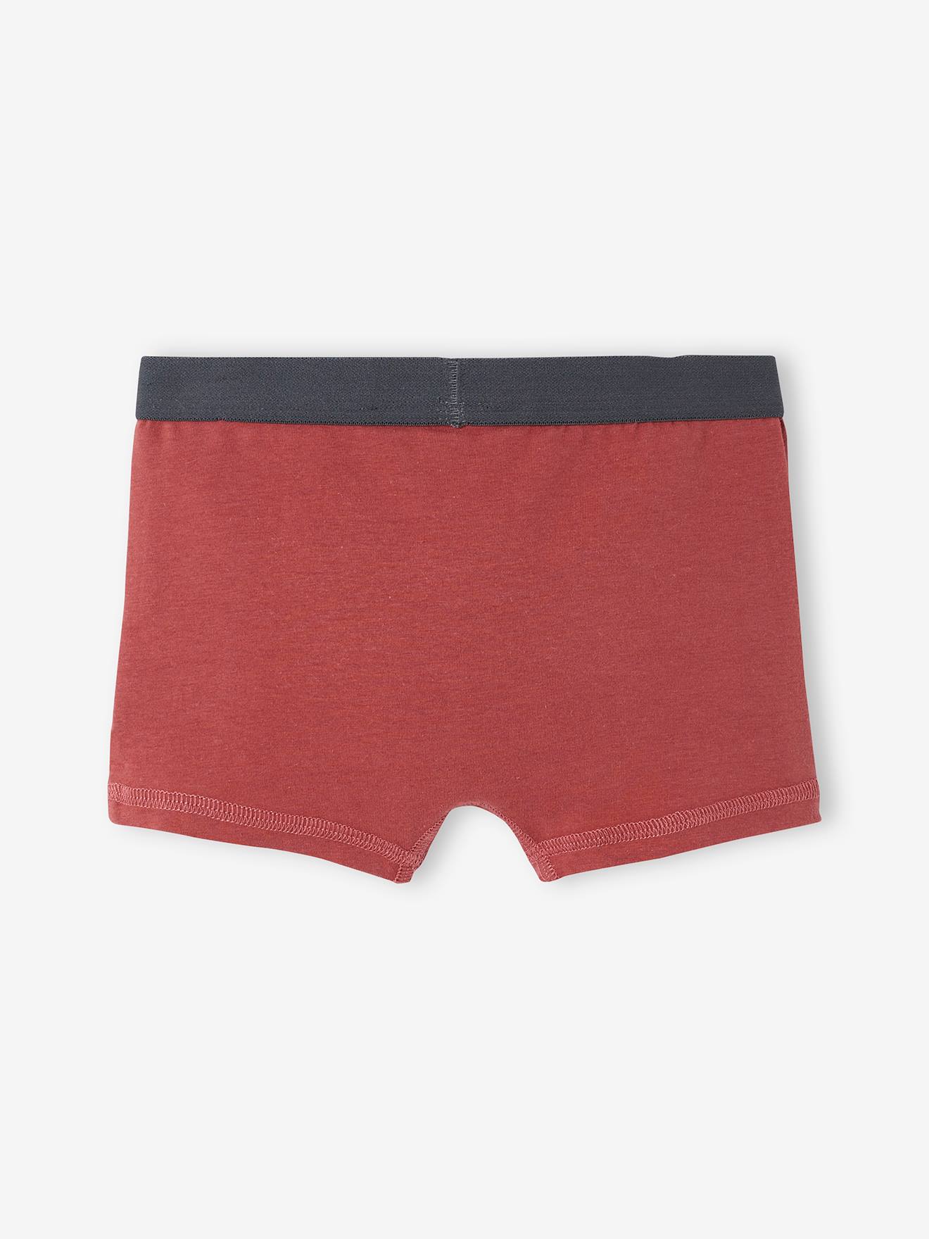 Harry Potter 3er-Pack Jungen Boxershorts HARRY POTTER Oeko-Tex - rot/grün/grau