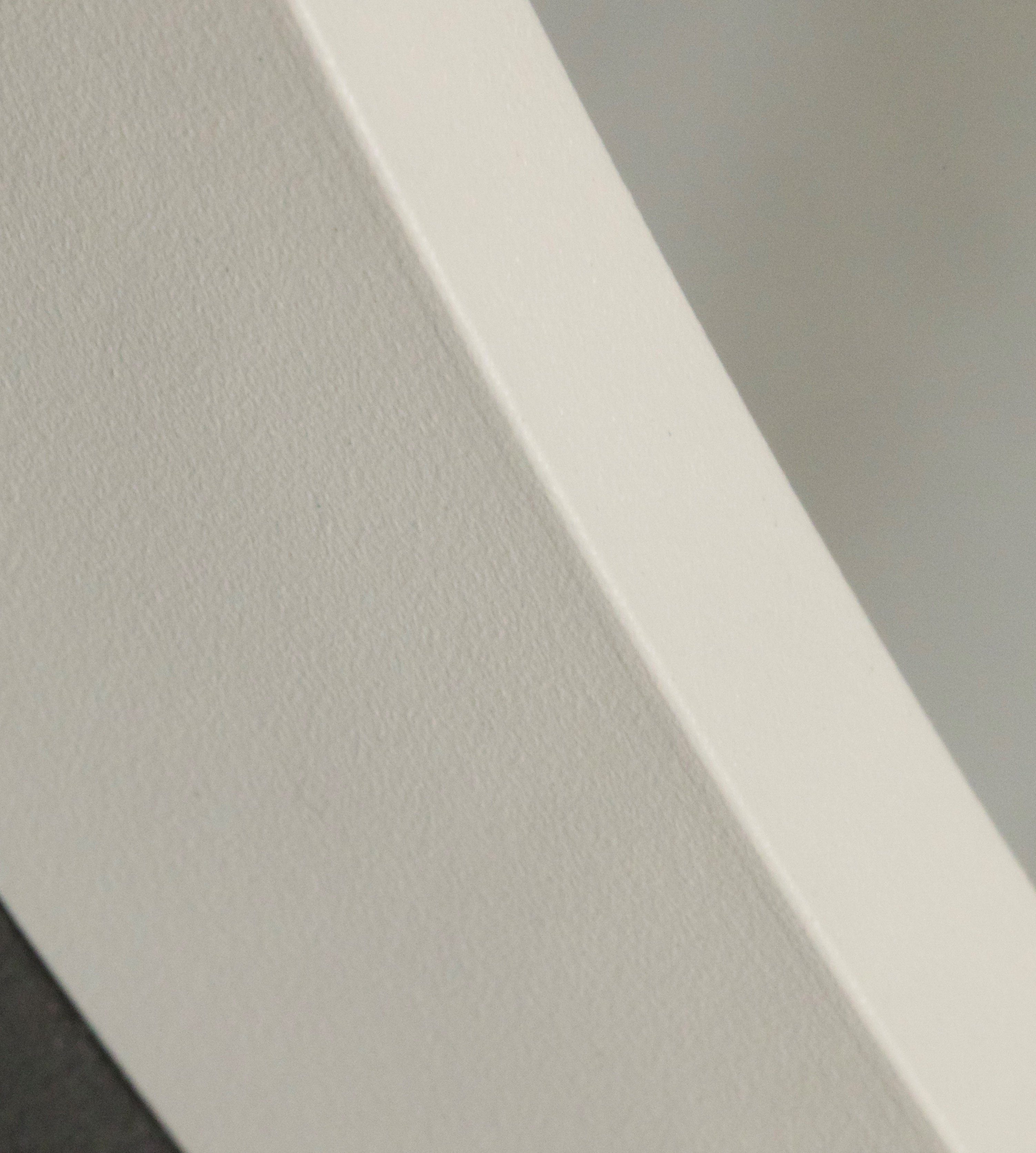 Terra Home Wandspiegel (inklusive Schrauben und Dübel), Badezimmerspiegel Flurspiegel Spiegel 40x50 weiß