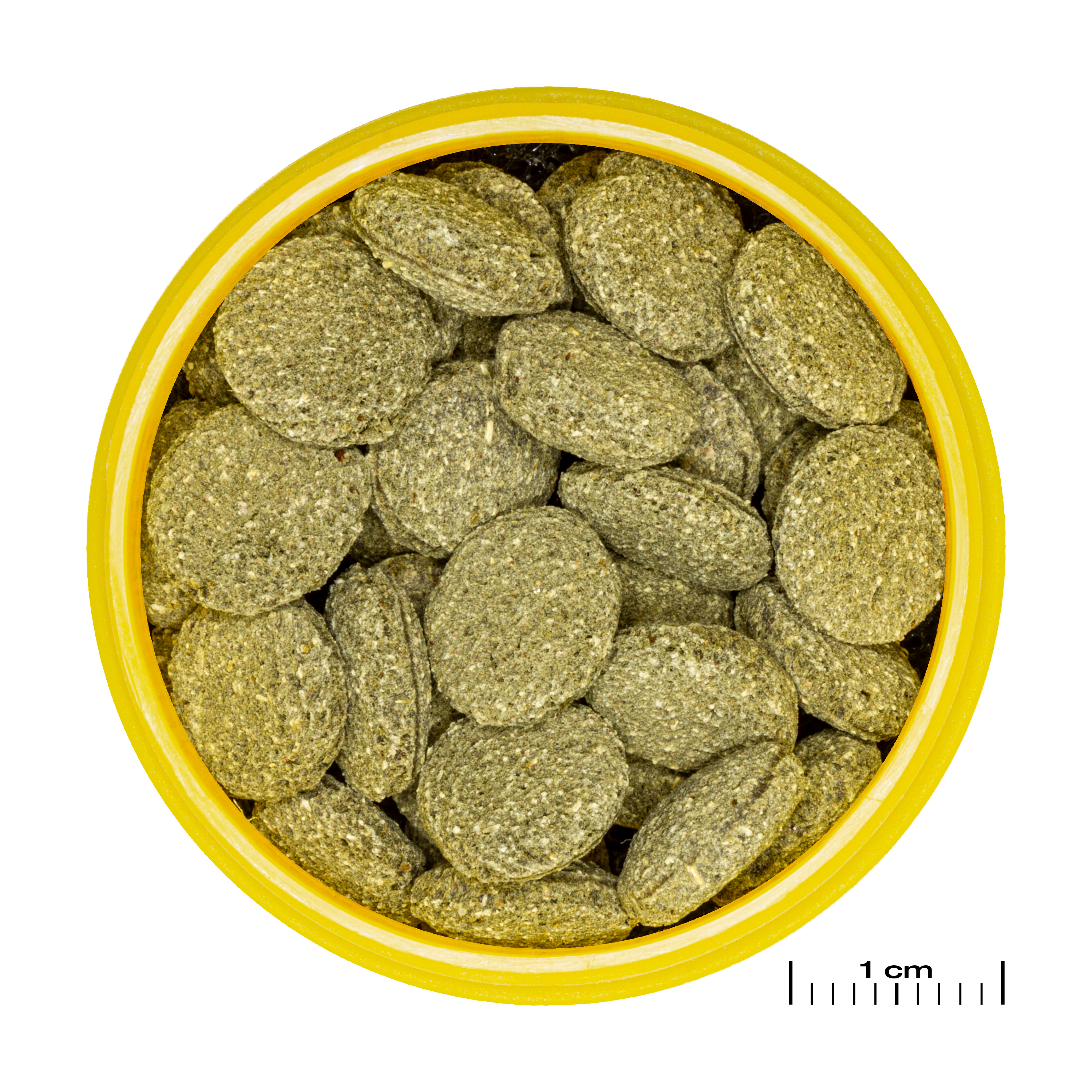 JBL Hauptfutter JBL PRONOVO PLECO WAFER Futtertabletten für herbivore Saugwelse M 100 ml
