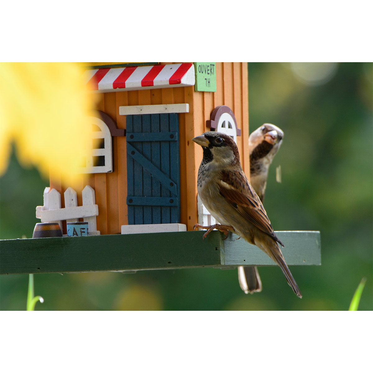 Dobar Deko-Vogelhaus 