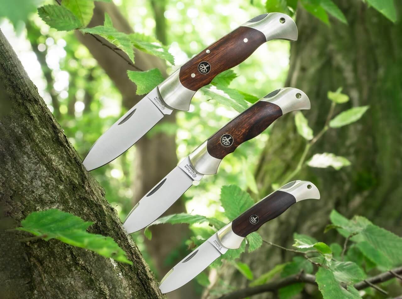 Boy Scout Spearpoint Desert Ironwood